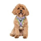 Pablo & Co Adjustable Harness Buzz Lightyear