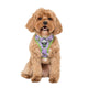 Pablo & Co Adjustable Harness Buzz Lightyear