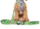 Pablo & Co Dog Leash Buzz Lightyear