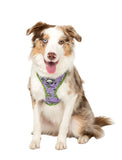 Pablo & Co Adjustable Harness Buzz Lightyear