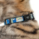 Pablo & Co Cat Collar Star Wars Grogu