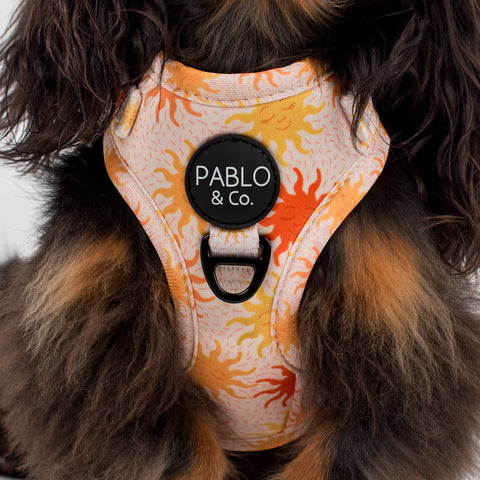 Pablo & Co Adjustable Harness Ray of Sunshine