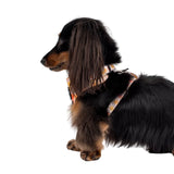 Pablo & Co Adjustable Harness Ray of Sunshine