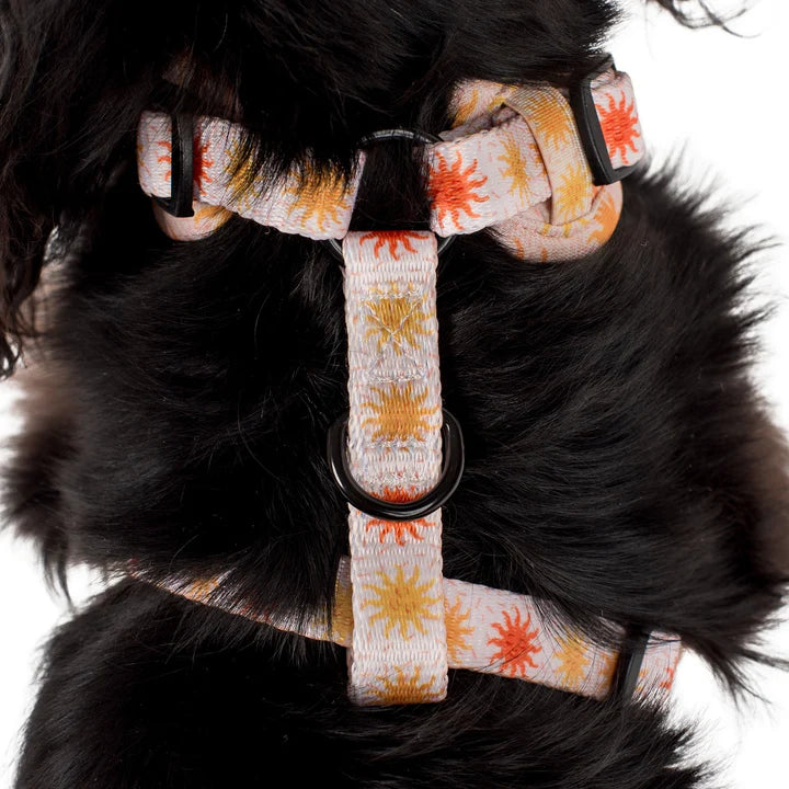 Pablo & Co Adjustable Harness Ray of Sunshine – Upmarket Pets Melbourne