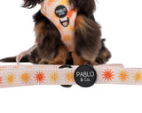 Pablo & Co Dog Leash Ray of Sunshine