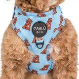 Pablo & Co Adjustable Harness Cavoodle
