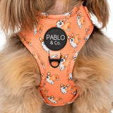 Pablo & Co Adjustable Harness Corgi