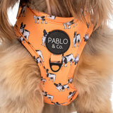 Pablo & Co Adjustable Harness French Bulldog