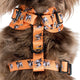 Pablo & Co Adjustable Harness French Bulldog