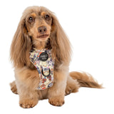 Pablo & Co Adjustable Harness Party Dawgs