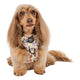 Pablo & Co Adjustable Harness Party Dawgs