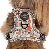 Pablo & Co Adjustable Harness Party Dawgs