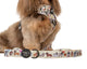 Pablo & Co Adjustable Harness Party Dawgs