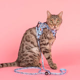 Pablo & Co Meow Step In Harness