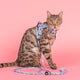 Pablo & Co Meow Step In Harness