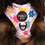 Pablo & Co Adjustable Harness Delightful Daisies