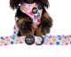 Pablo & Co Dog Leash Delightful Daisies