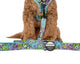 Pablo & Co Dog Leash Monsters Inc