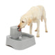 Drinkwell 7.5 Litre Pet Fountain