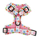 Pablo & Co Adjustable Harness Posy