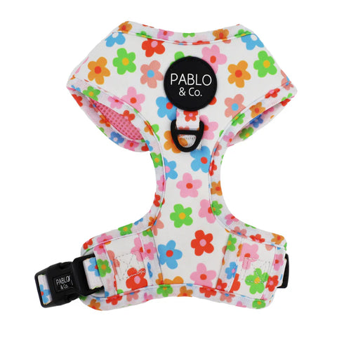 Pablo & Co Adjustable Harness Posy