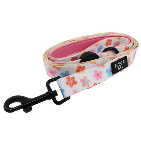 Pablo & Co Dog Lead Posy