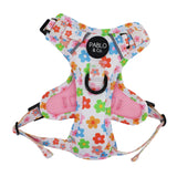 Pablo & Co No Pull Adventure Harness Posy
