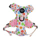 Pablo & Co No Pull Adventure Harness Posy