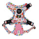 Pablo & Co No Pull Adventure Harness Posy