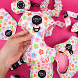 Pablo & Co Adjustable Harness Posy