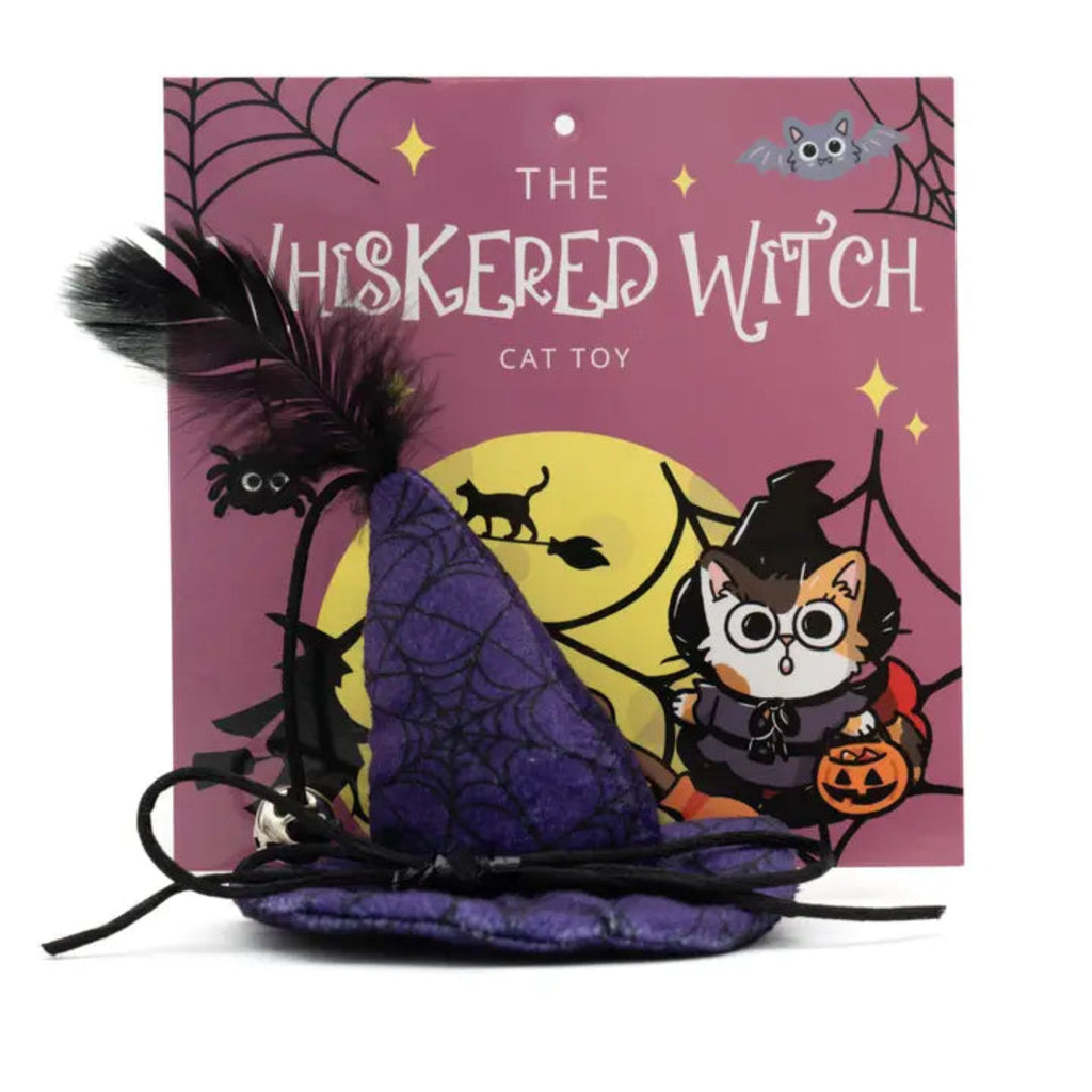 Purple witch's hat Halloween cat costume accessory with decorative feather