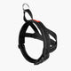 EzyDog Quick Fit Harness
