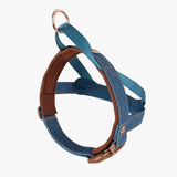 EzyDog Quick Fit Harness