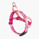 EzyDog Quick Fit Harness
