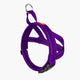 EzyDog Quick Fit Harness