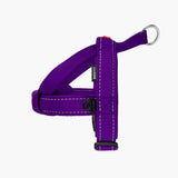 EzyDog Quick Fit Harness