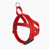 EzyDog Quick Fit Harness