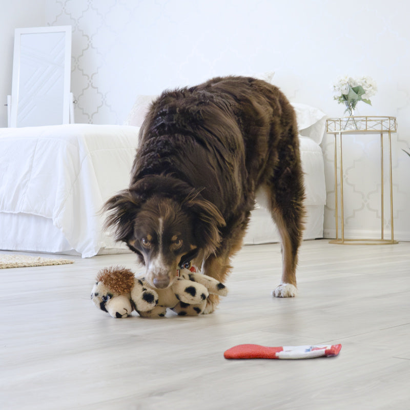 KONG Comfort Pups Pierre piccolo peluche cigolante confezione KONG Comfort Pups Pierre piccolo peluche cigolante confezione