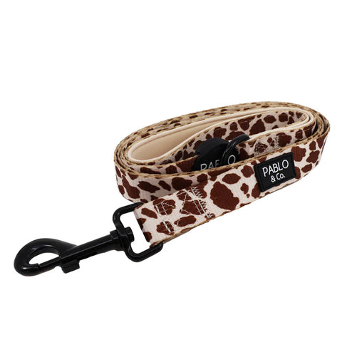 Pablo & Co Dog Lead Rodeo