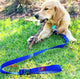 Black Dog - Smart Lead Stainless Steel