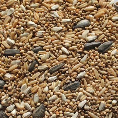 Kirby Bird Seed Small Parrot Lovebird 2kg