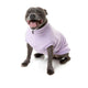Upmarket Pets | FuzzYard Cambridge Sweater | Shop Dog Coats Online