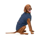 Upmarket Pets | FuzzYard Kojima Harness Jacket | Shop dog coats online