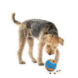 Guru Bobble Ball