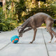 Guru Bobble Ball