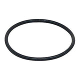 Black rubber O-ring on a white background