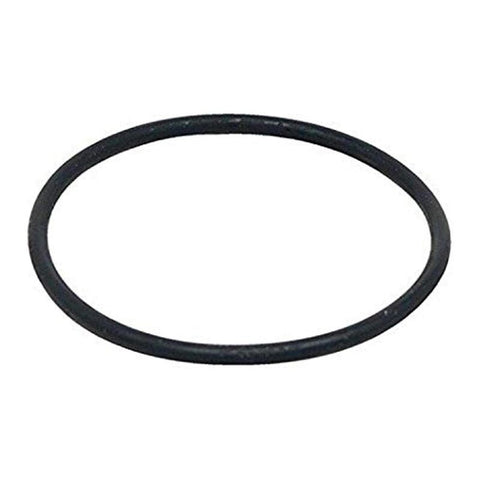 Black rubber O-ring on a white background