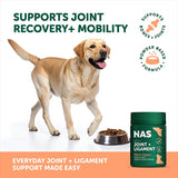 Nas Joint & Ligament Powder
