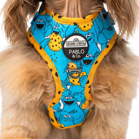 Upmarket Pets & Aquarium | Pablo & Co Cookie Monster Harness | Shop dog harness collar & leads online