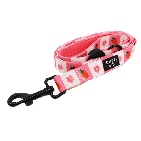 Pablo & Co Dog Leash Strawberry Patch